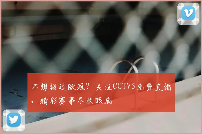 不想错过欧冠？关注CCTV5免费直播，精彩赛事尽收眼底